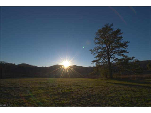 TBD Pleasant Grove Church Rd, Hendersonville, NC 28739