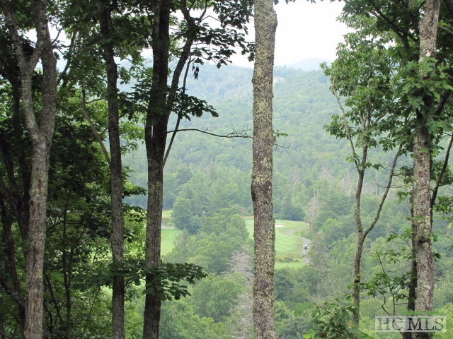 1 Old Wagon Trail, Highlands, NC 28741