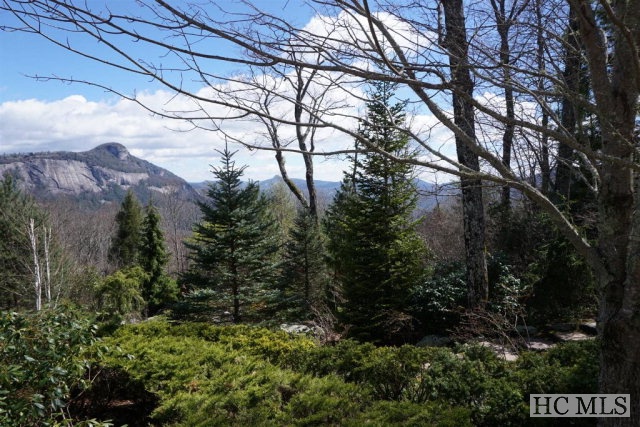 1877 Bowery Road, Highlands, NC 28741