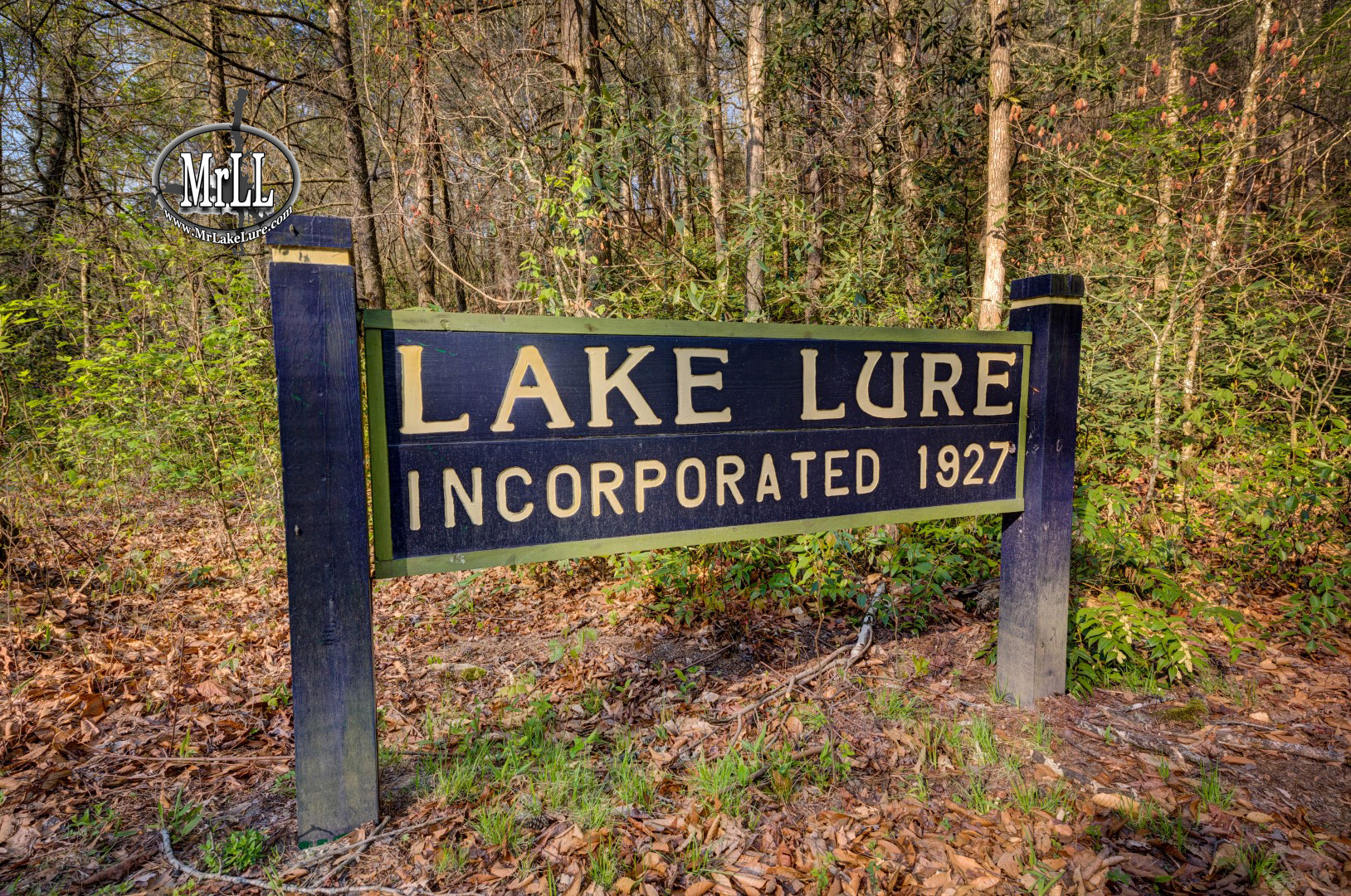 621 Grandview Drive, Lake Lure, NC 28746