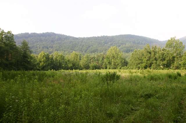 1312 Conner Road, Lake Lure, NC 28746