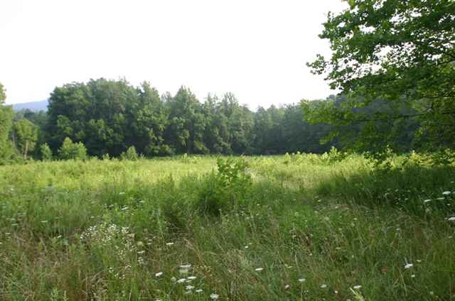 1312 Conner Road, Lake Lure, NC 28746