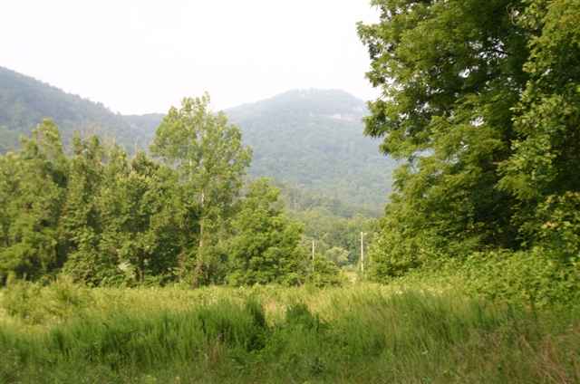 1312 Conner Road, Lake Lure, NC 28746