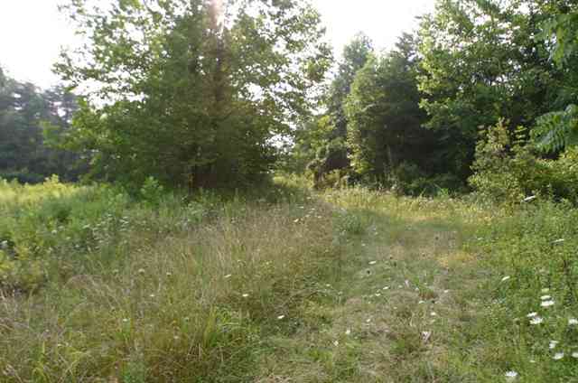 1312 Conner Road, Lake Lure, NC 28746
