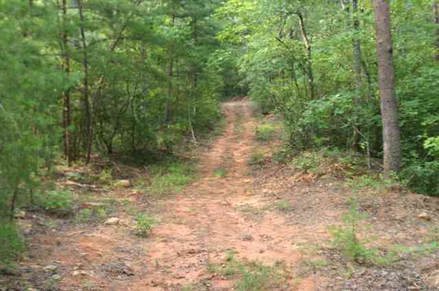 1312 Conner Road, Lake Lure, NC 28746