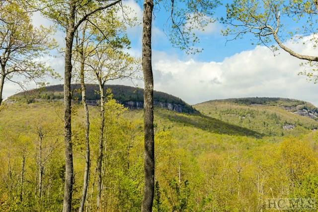 673 Panthertown Road, Lake Toxaway, NC 28747