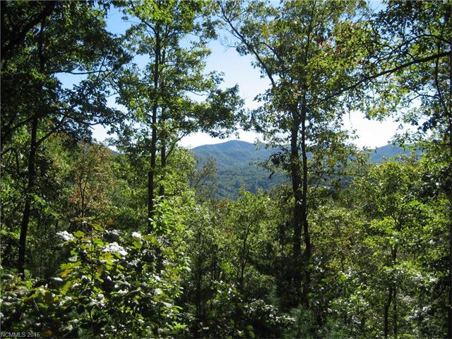 196 W Red Fox Trail W, Marshall, NC 28753