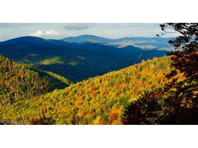 489 Cherry Knob Drive, Mars Hill, NC 28754