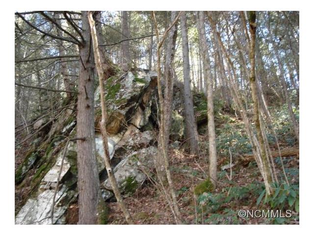 000 White Oak Branch Road, Mars Hill, NC 28754