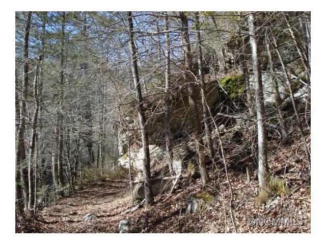 000 White Oak Branch Road, Mars Hill, NC 28754