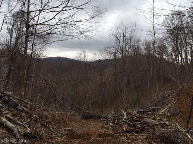 99999 Fox Creek Church Road, Mars Hill, NC 28754