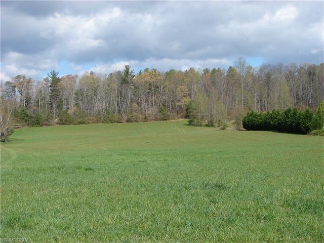000 Banner Farm Road, Mills River, NC 28759