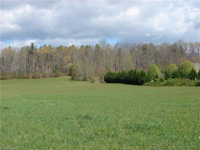 000 Banner Farm Road, Mills River, NC 28759