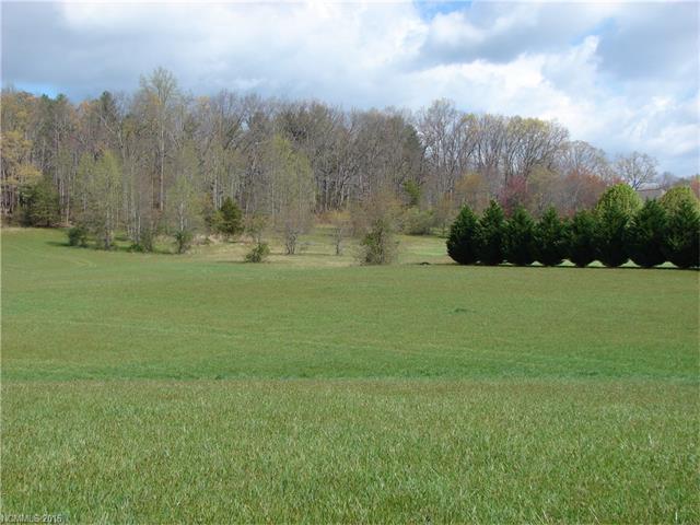000 Banner Farm Road, Mills River, NC 28759
