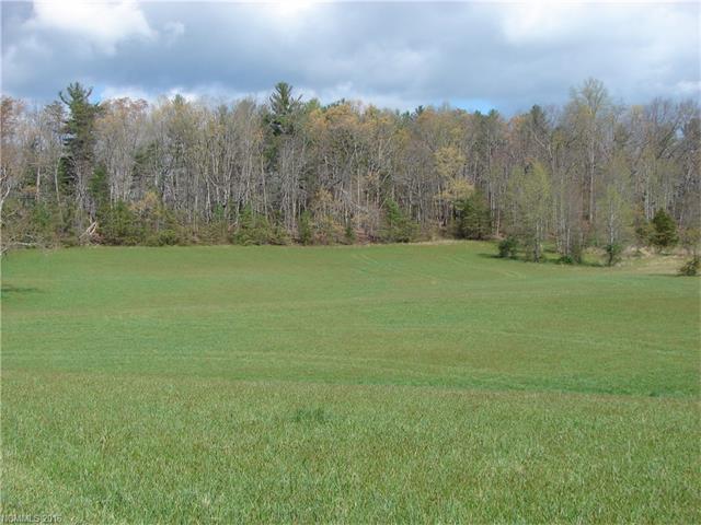 000 Banner Farm Road, Mills River, NC 28759