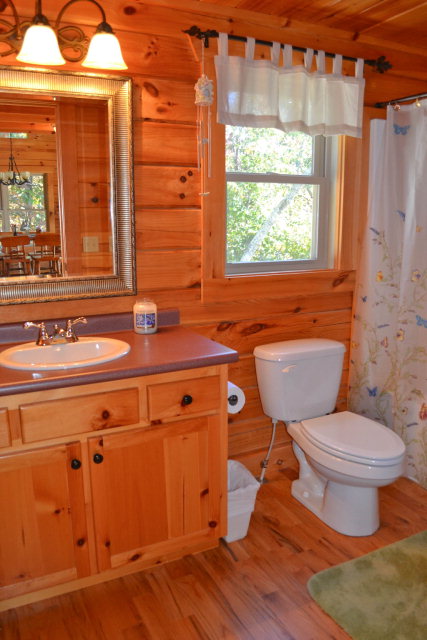 90 Stonesthrow Drive, Nebo, United States 28761