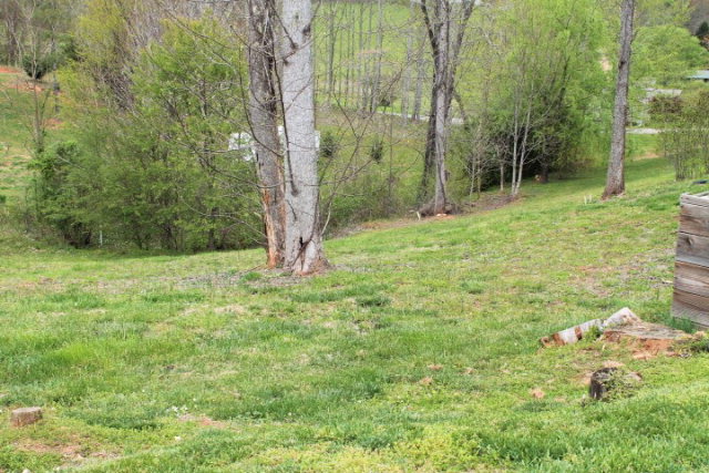 119 Dolly Cowart, Otto, NC 28763