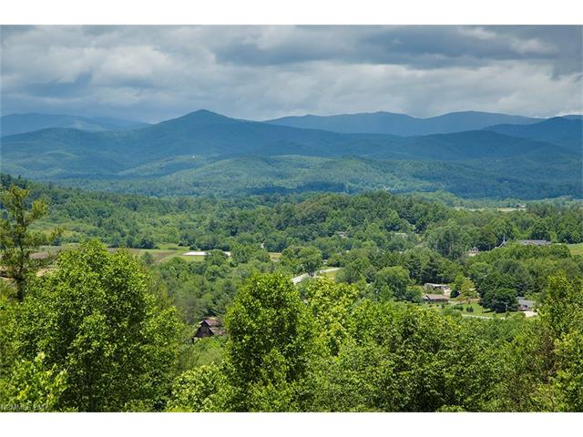 154 Old Little Mountain Road, Pisgah Forest, NC 28768