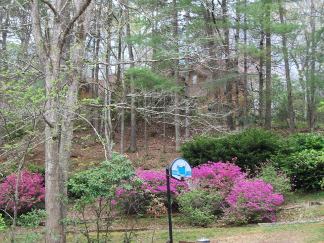 122 High Splendor, Robbinsville, NC 28771