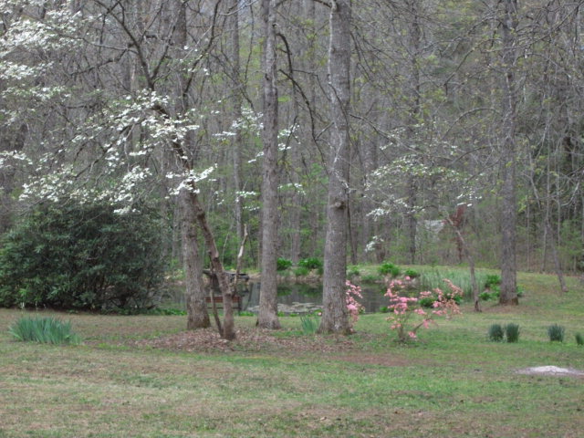 122 High Splendor, Robbinsville, NC 28771