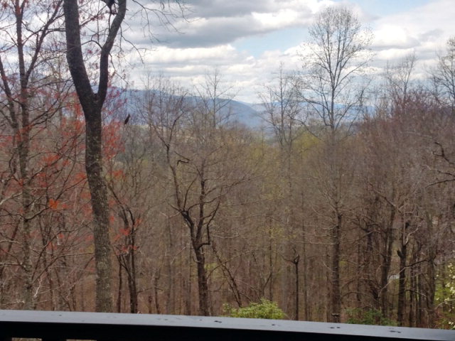 517 Sam Cove, Robbinsville, NC 28771