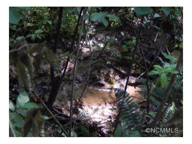 1437 Line Runner Ridge Road, Rosman, NC 28772