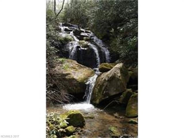 1000 Fork Creek Road, Saluda, NC 28773