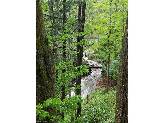 1000 Fork Creek Road, Saluda, NC 28773