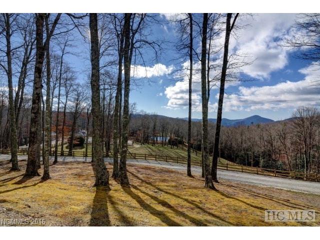 124 Maidenhaire Lane, Sapphire, NC 28774