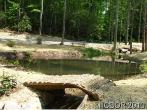 N/A Falls Road, Scaly Mountain, NC 28775