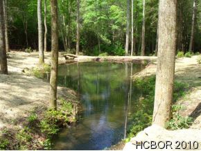 N/A Falls Road, Scaly Mountain, NC 28775