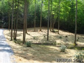 N/A Falls Road, Scaly Mountain, NC 28775