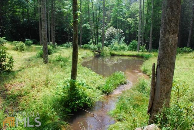 0 Falls Rd, Scaly Mountain, NC 28775