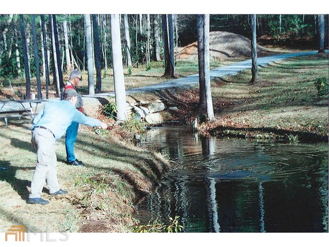 0 Falls Rd, Scaly Mountain, NC 28775