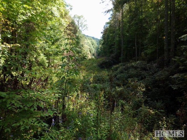 000 Shoal Creek Road, Scaly Mountain, NC 28775