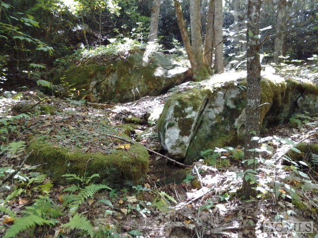 000 Shoal Creek Road, Scaly Mountain, NC 28775