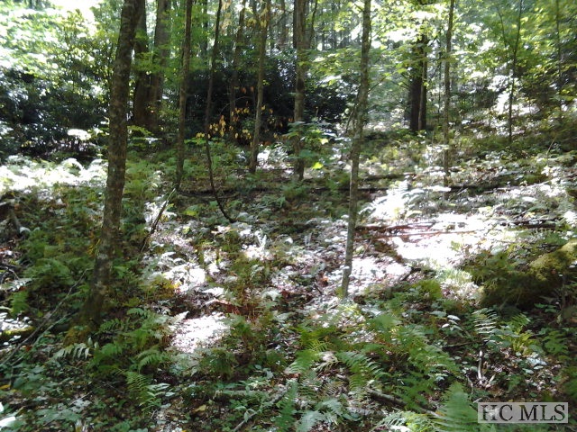 000 Shoal Creek Road, Scaly Mountain, NC 28775