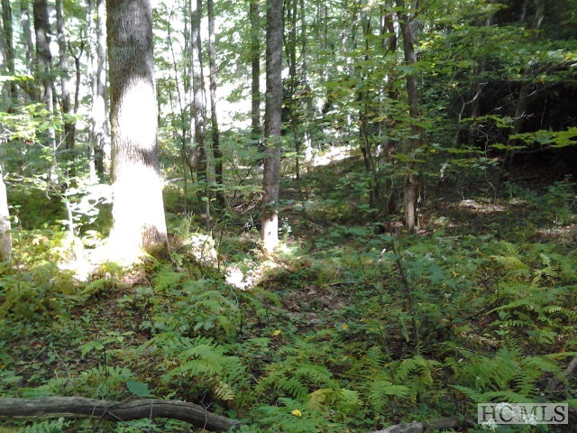 000 Shoal Creek Road, Scaly Mountain, NC 28775