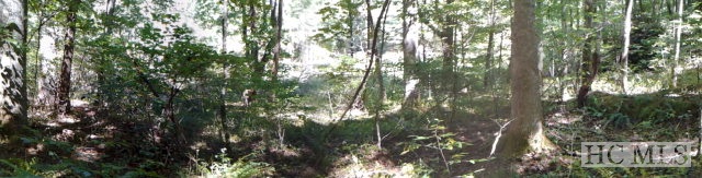 000 Shoal Creek Road, Scaly Mountain, NC 28775