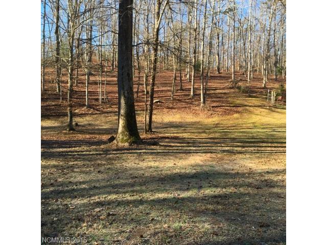 38 Windy Hill Lane, Tryon, NC 28782