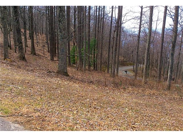27 Abingdon Way, Asheville, NC 28804