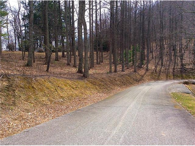 27 Abingdon Way, Asheville, NC 28804