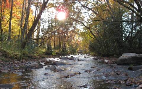 4506 DOWNINGS CREEK ROAD, Hayesville, NC 28904