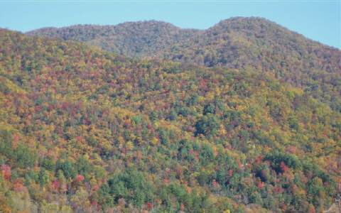4506 DOWNINGS CREEK ROAD, Hayesville, NC 28904
