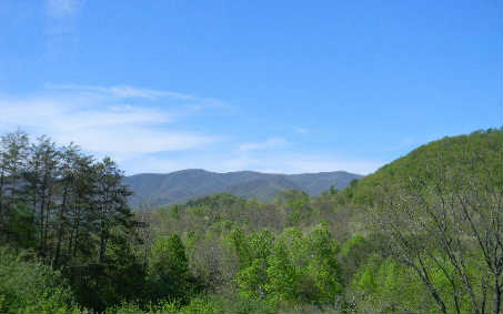 290 Peckerwood Road, Hayesville, United States 28904