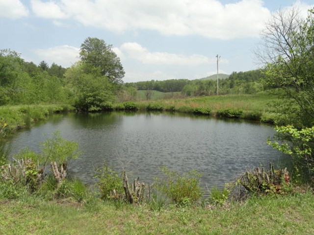 1008 Pinhook, Murphy, NC 28906