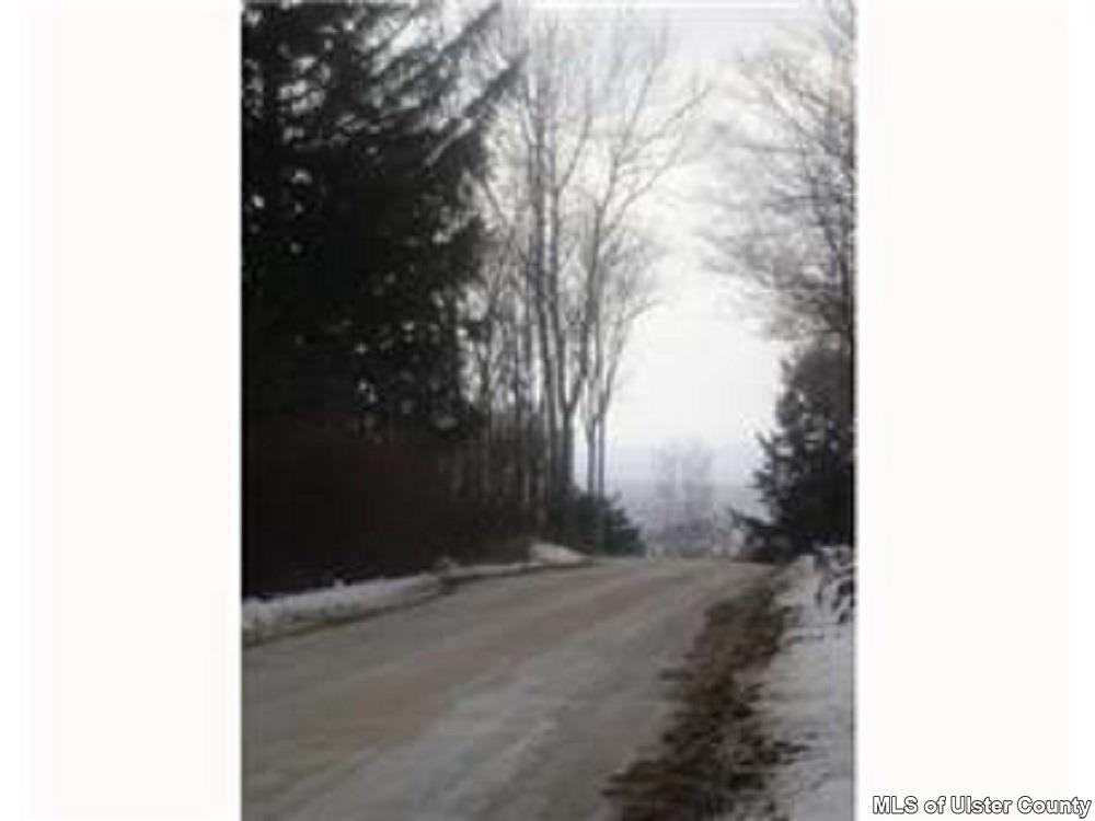 Dellenbaugh Road, Cragsmoor, NE 12420