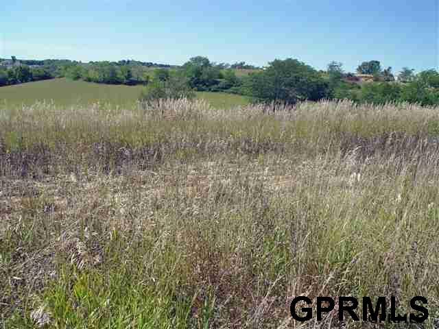 Lot 41Cottonwood Creek, Blair, NE 68008