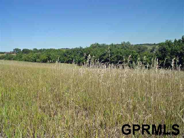 Lot 41Cottonwood Creek, Blair, NE 68008