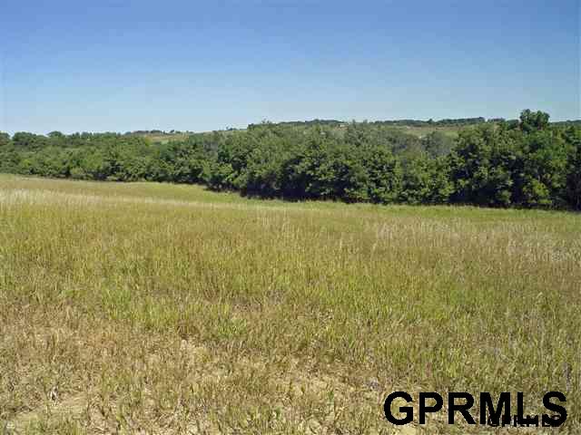 Lot 17Cottonwood Creek, Blair, NE 68008